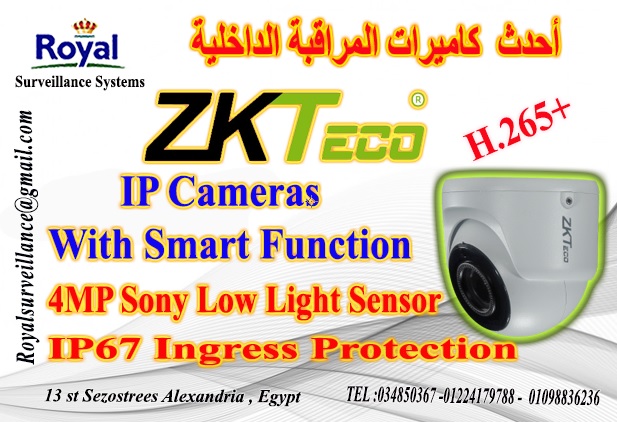 كاميرات مراقبة داخلية  IP Camera 4MP بالخصائص الذكية ماركة ZKTECO P_13714pqqb1
